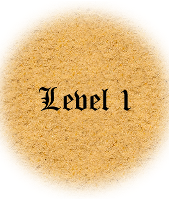 Level 1