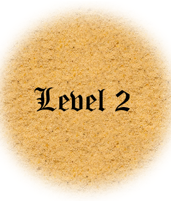 Level 2