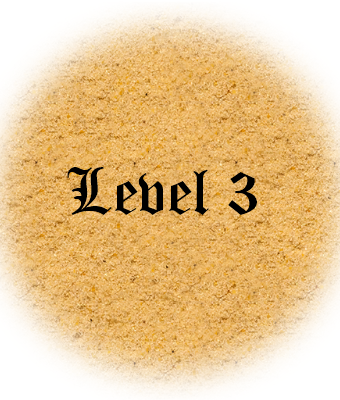 Level 3