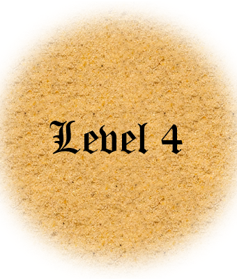 Level 4