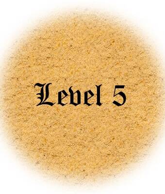 Level 5