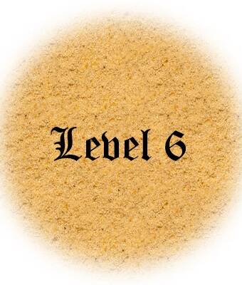 Level 6